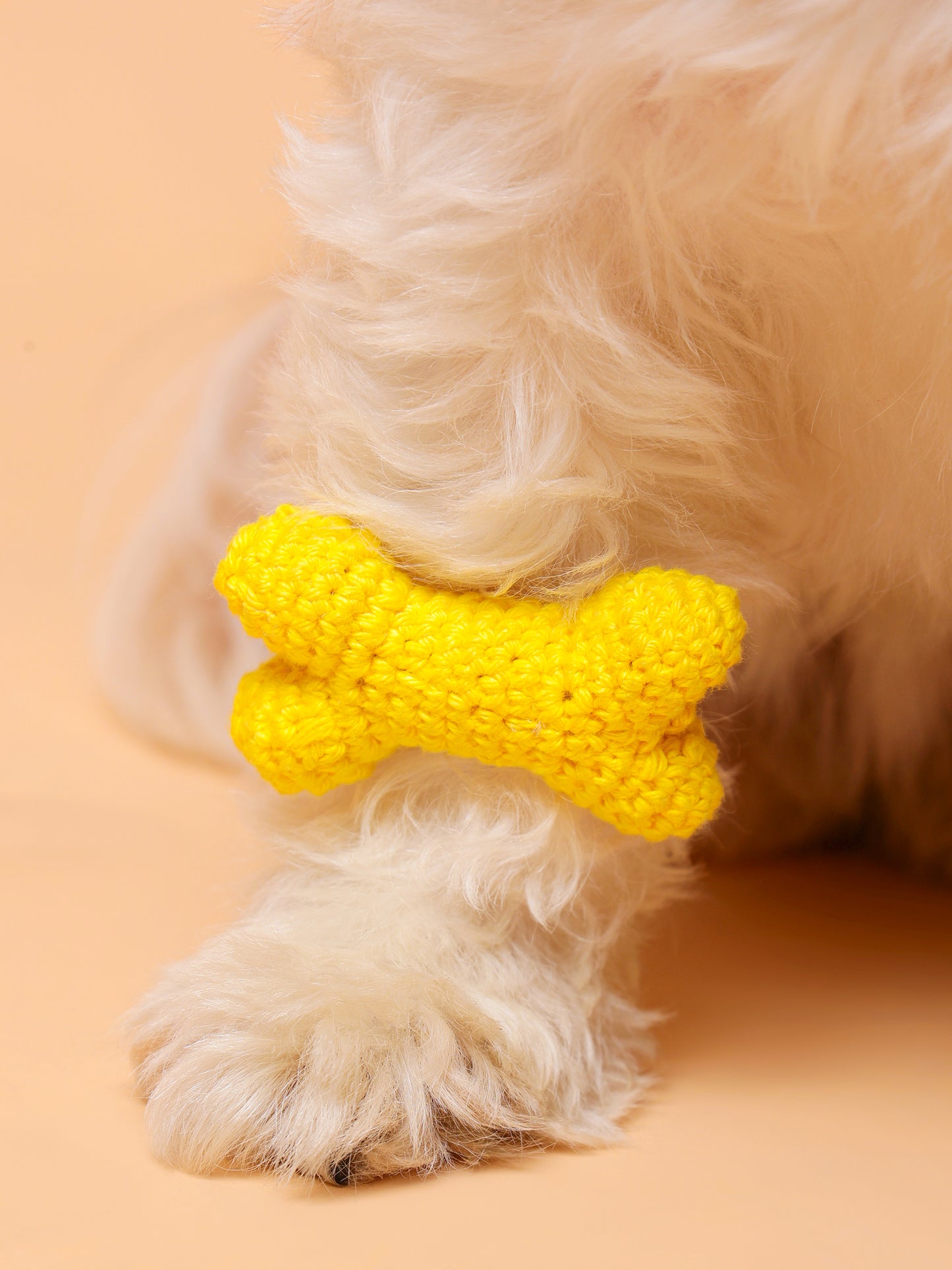 Bone Crochet Pet Rakhi - Yellow