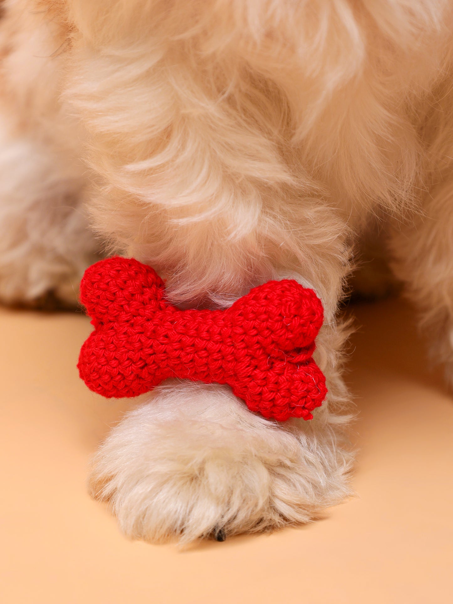 Bone Crochet Pet Rakhi - Red