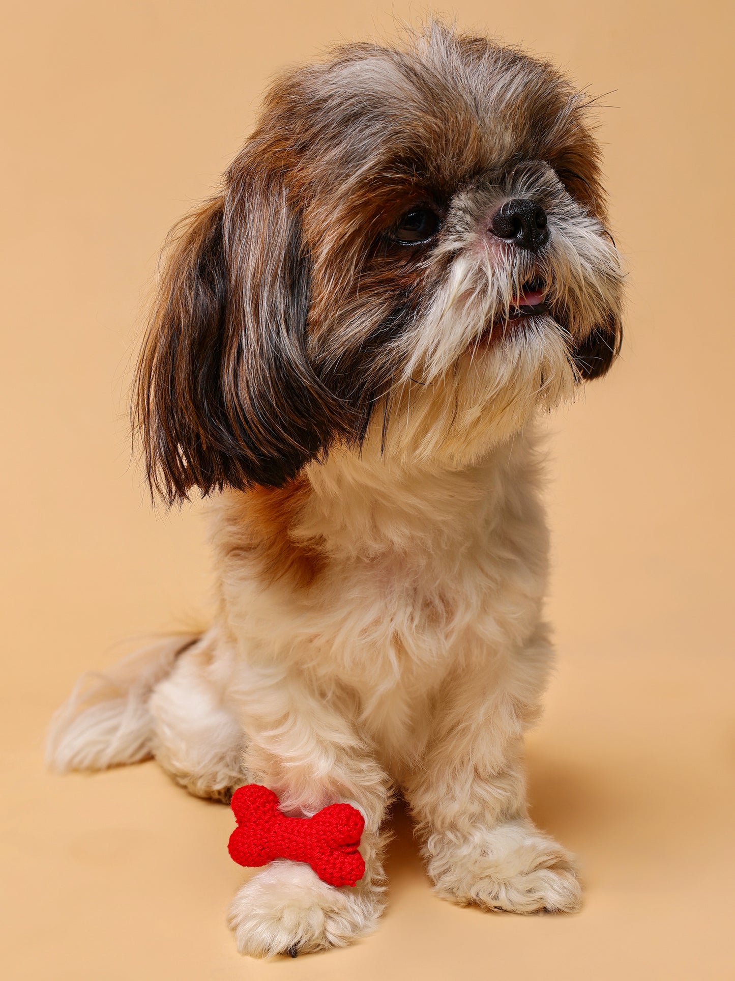 Bone Crochet Pet Rakhi - Red