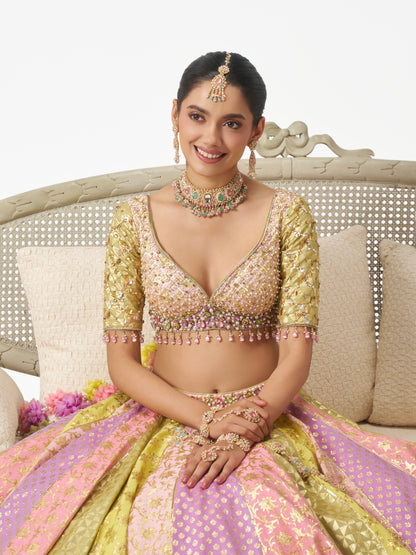 Mehbooba Lehenga Set - Multi