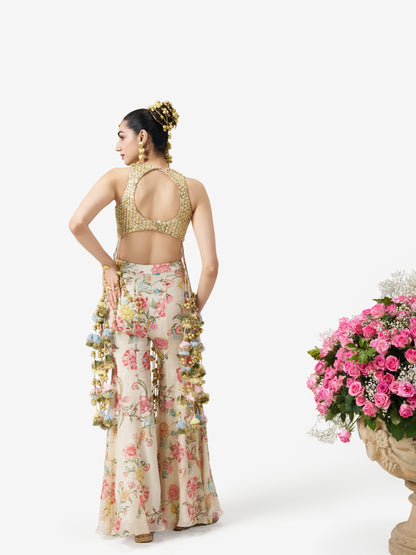 Dilruba Sharara Set - Ivory