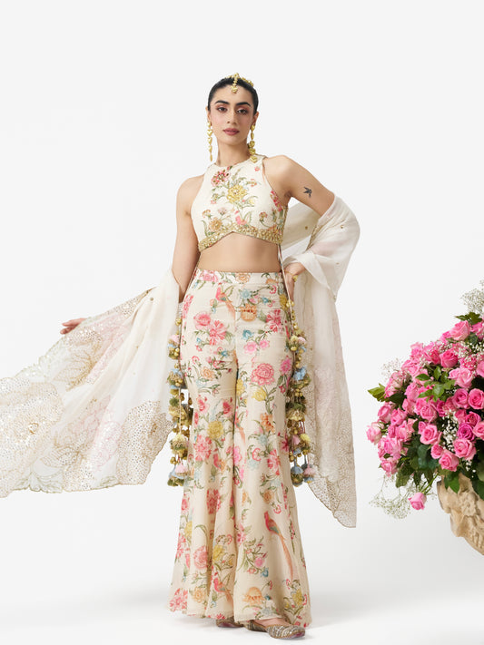 Dilruba Sharara Set - Ivory